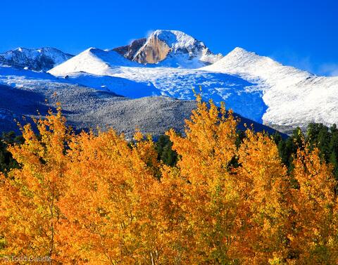 Autumn Gold Below Longs Peak