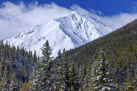 Snow on Torreys Peak