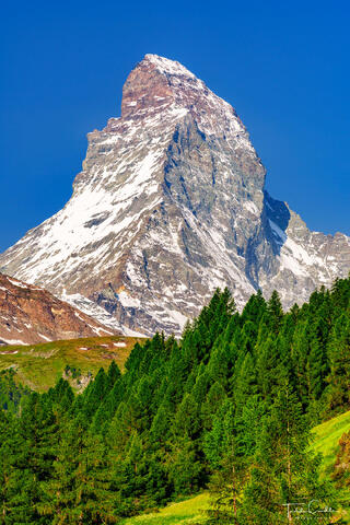 Matterhorn Rising Above the Forest