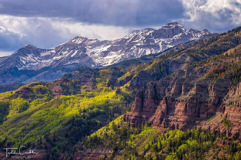 Spring Aspens and Storm Light