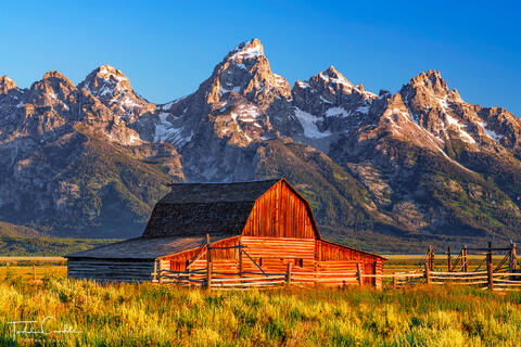 Morning Light at Mormon Row