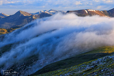 Fog Spilling Out of Forest Canyon #1