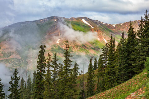 Paradise Divide Fog
