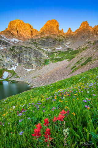 Wildflowers Below Zodiac Ridge