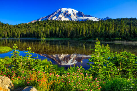 a photo of mount rainier reflection