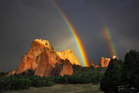 Garden Rainbow