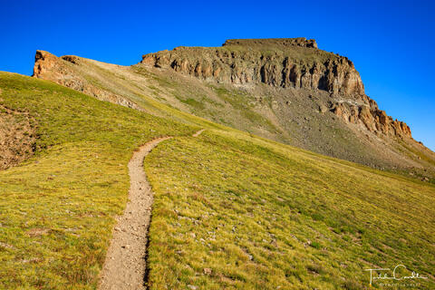 Along the Uncompahgre Peak Trail