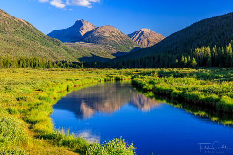 Christmas Meadows Reflection