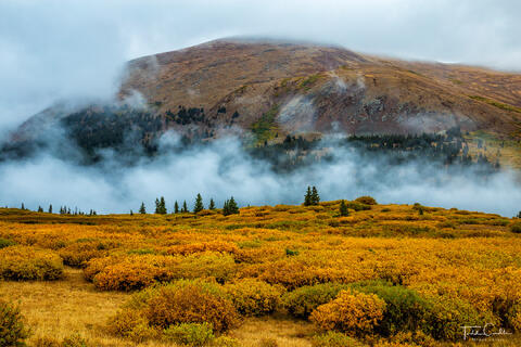 Autumn Tundra & Fog