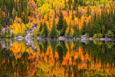 Autumn Forest Reflection (horizontal)