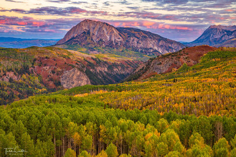 Dark Canyon Hints of Autumn