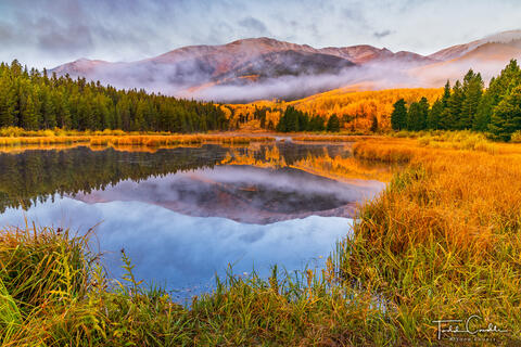 Foggy Morning Reflection