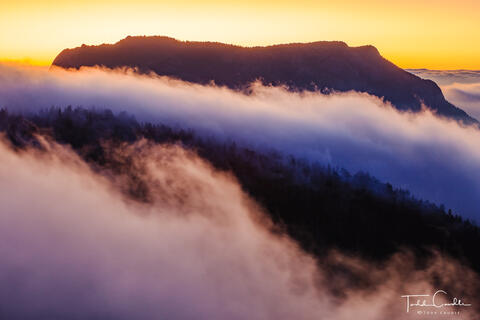 Deer Mountain Above the Clouds