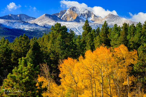 Autumn Gold Below Longs Peak