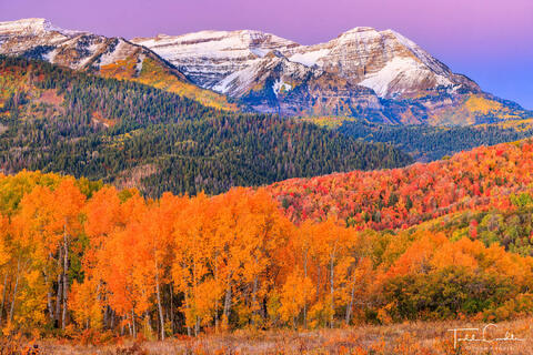 North Timp Predawn