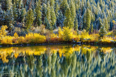 Autumn Reflection