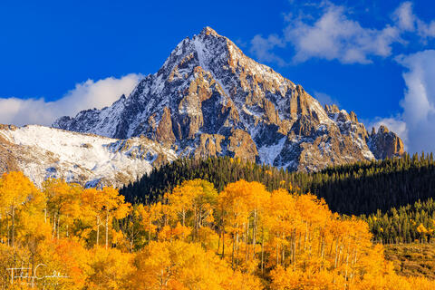 Fall Colors below Mount Sneffels