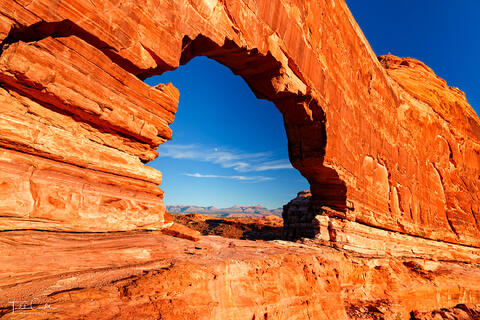 a photo of gold bar arch, also called jeep arch, on blm land above the colorado river not far from moab utah.
