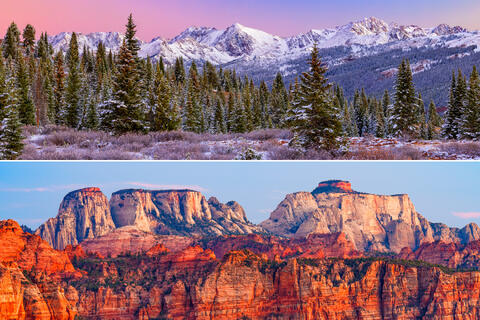 Panoramas