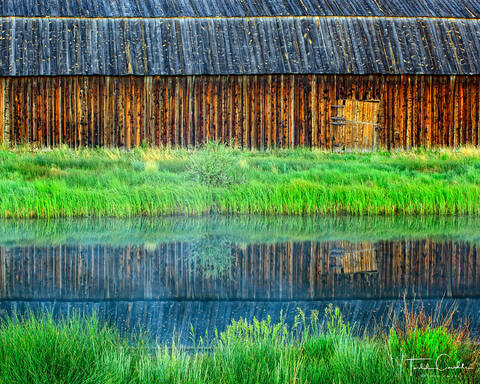 Barn Reflection