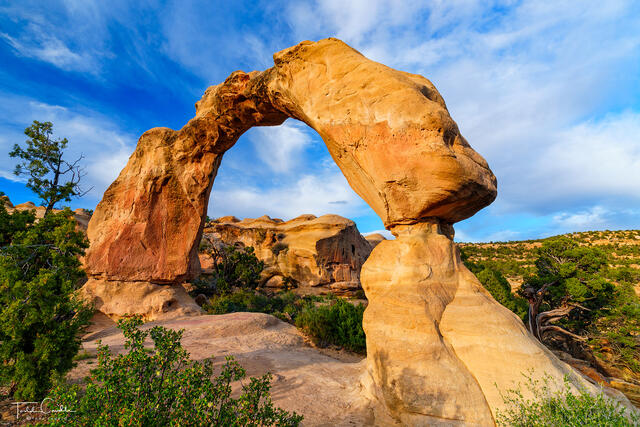 Free-Standing Arch #2