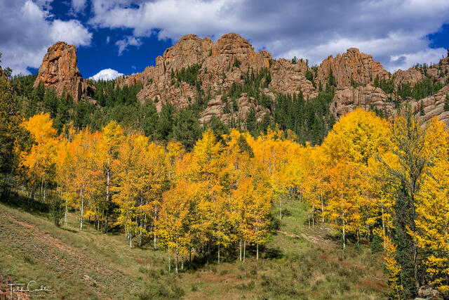 Fall Colors at Cathedral Park