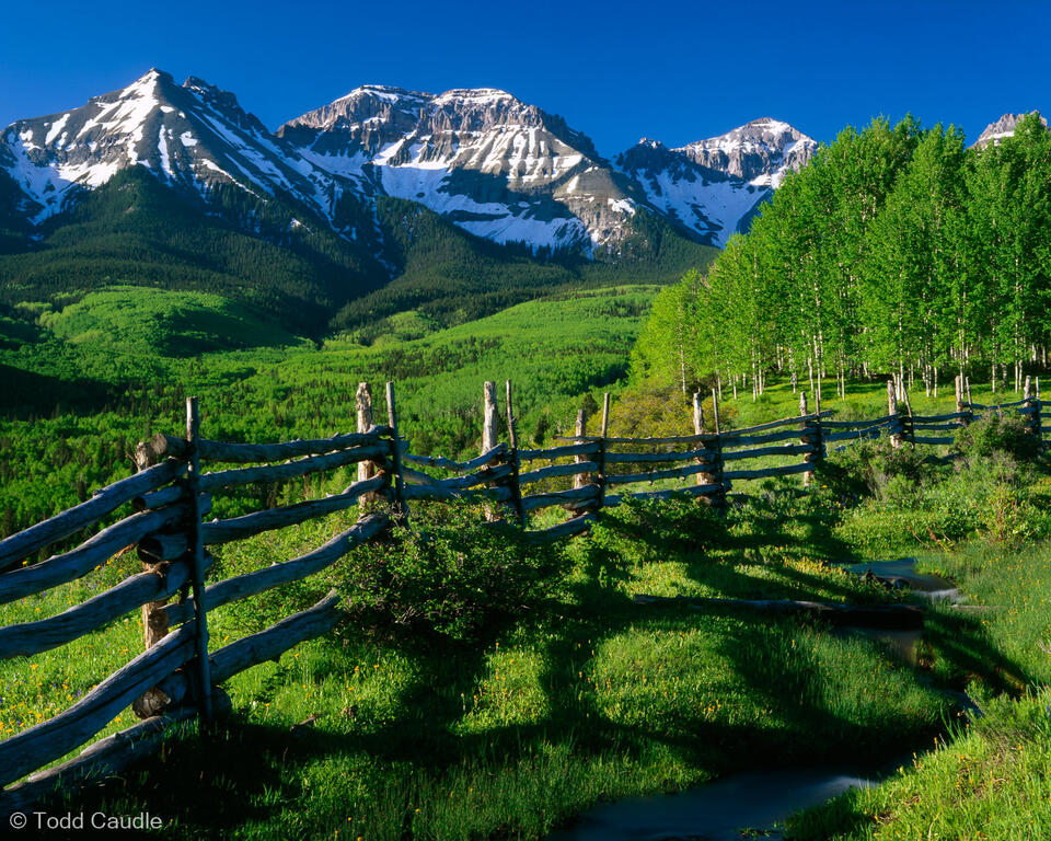 Springtime in the Rockies print