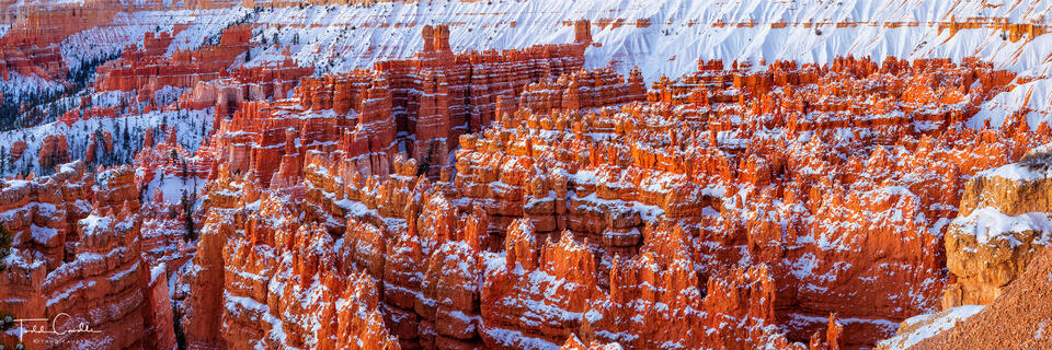 Snowy Hoodoos (Panorama) print