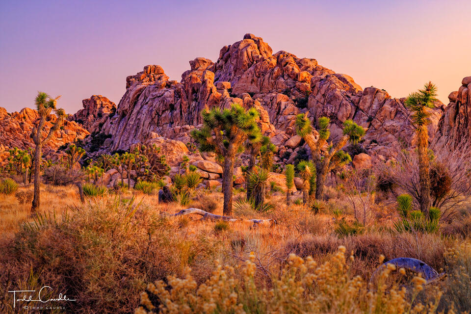 Twilight Colors print
