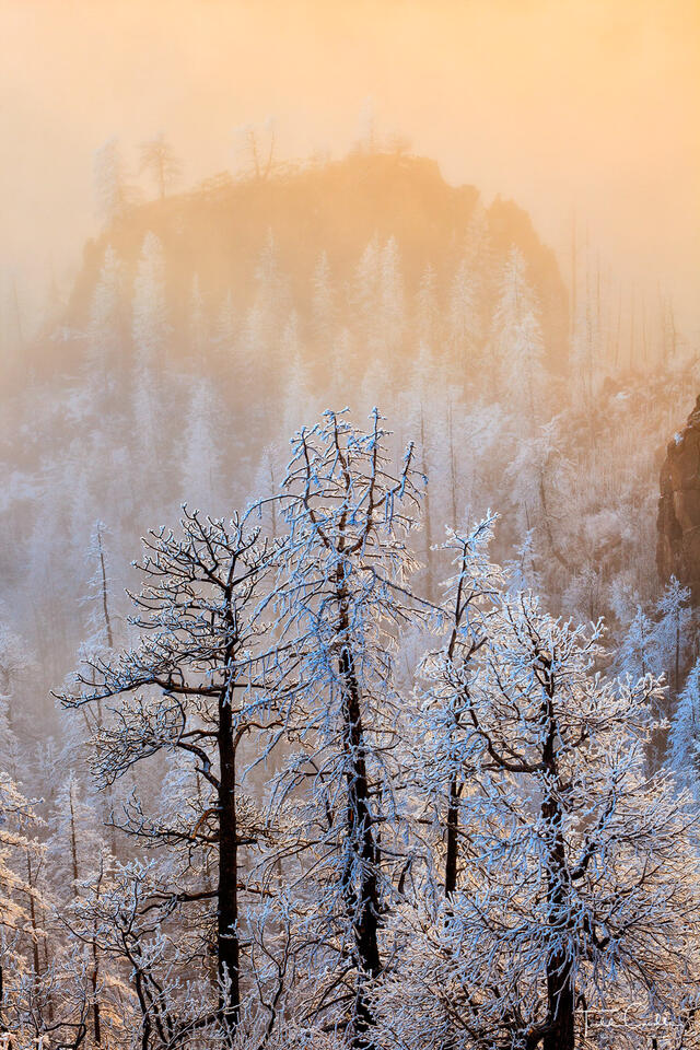 Frosted Ghosts at Sunset print