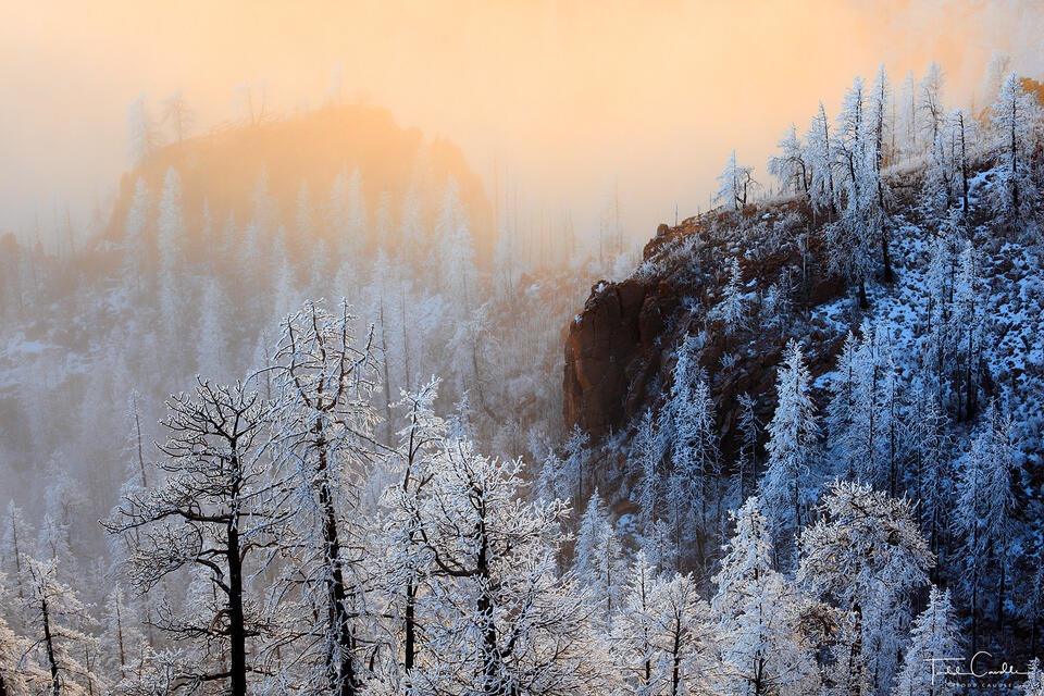 Fog & Frost print