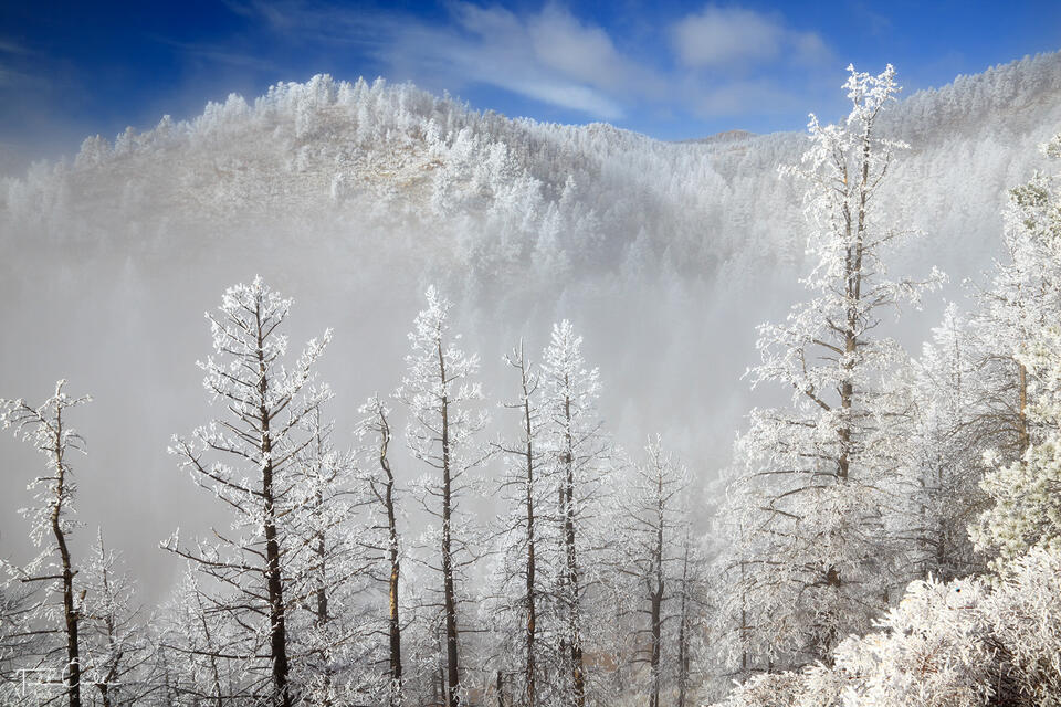 Rime Ice Mountains print