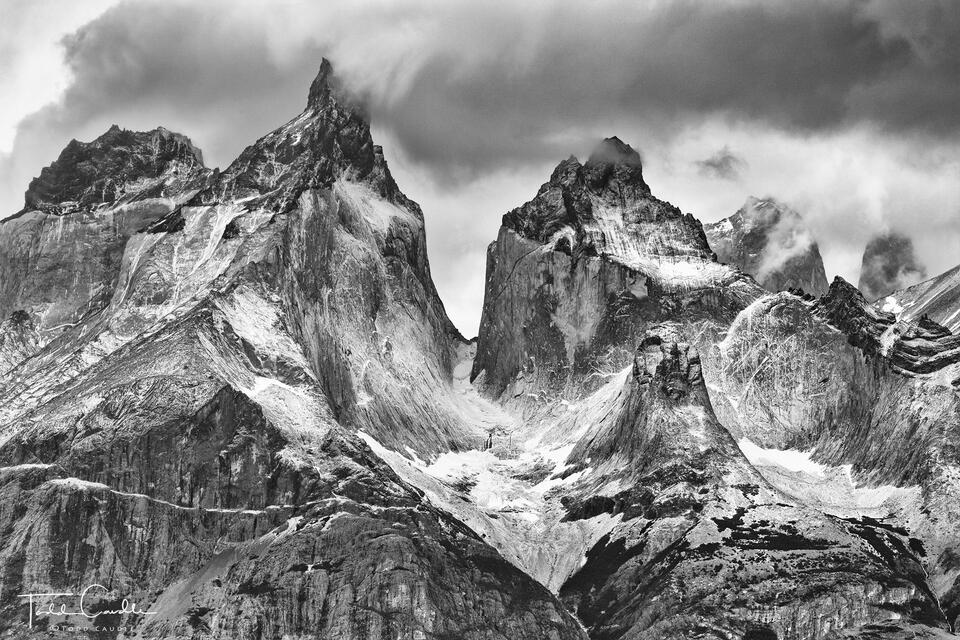 Cuernos in Black & White print