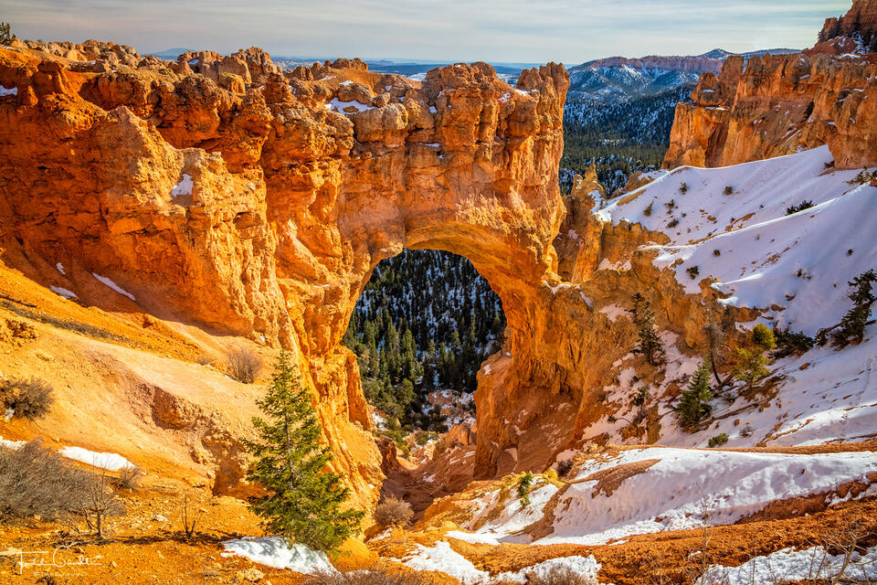 Natural Arch print