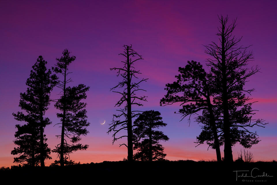 Crescent Moon at Sunset print