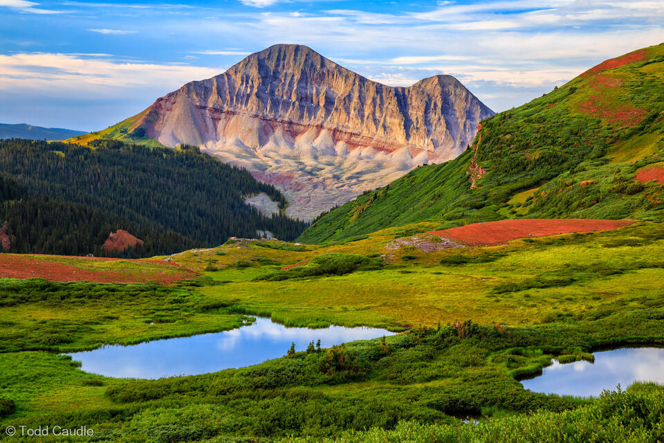 Tarns below Engineer Mountain print