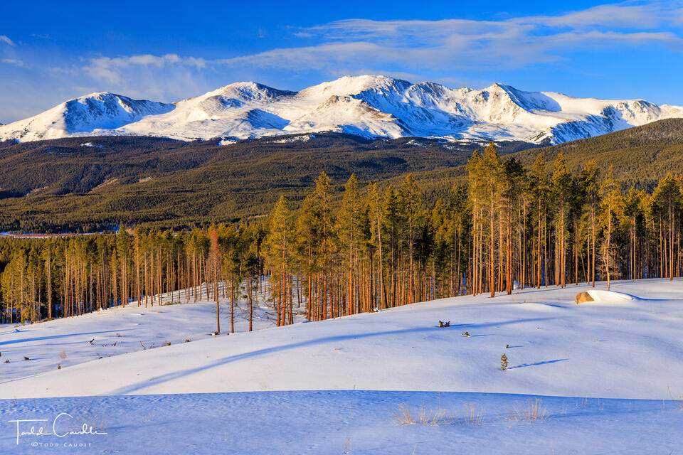 Mount Massive Winter print