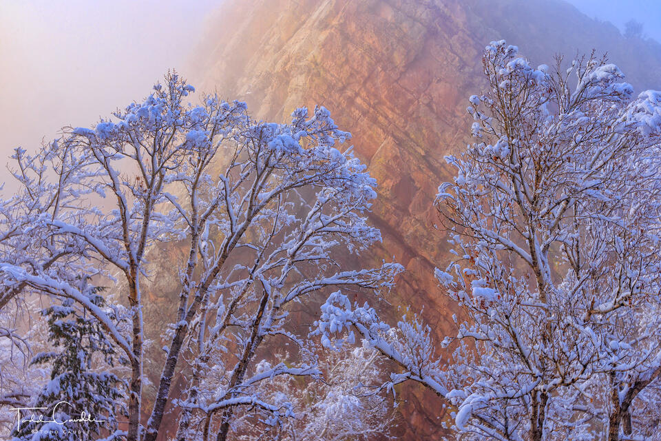 Eldo Fog #2 print