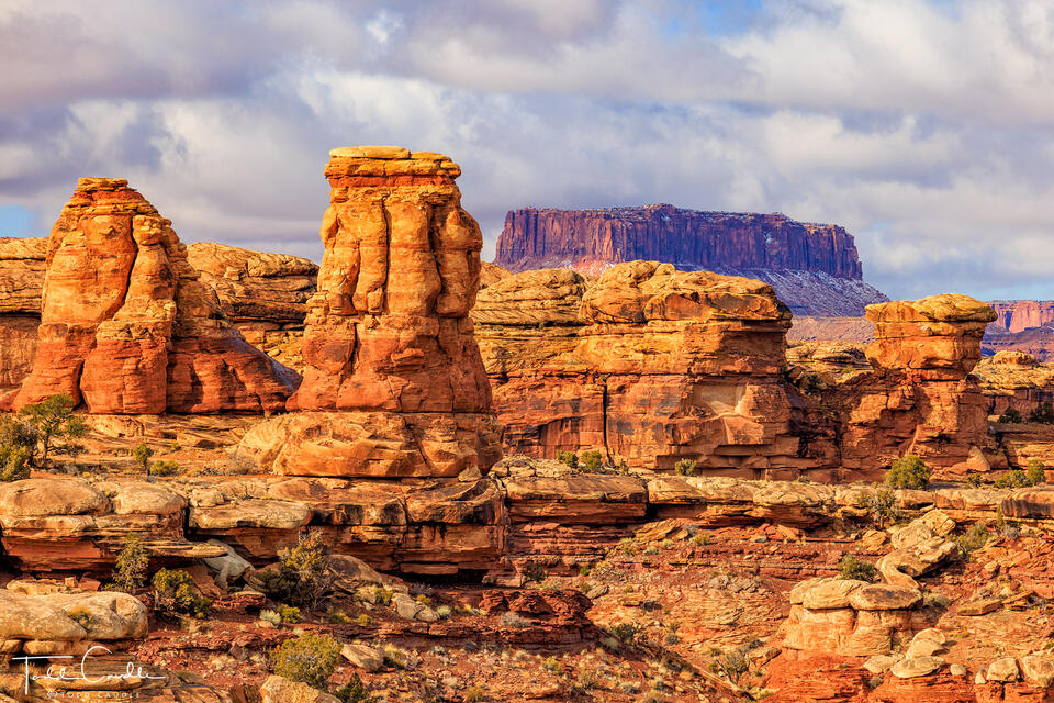 Columns & Mesas print