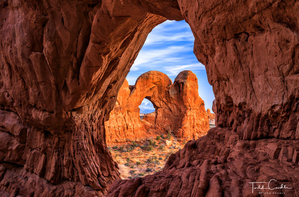 Hidden Arch print