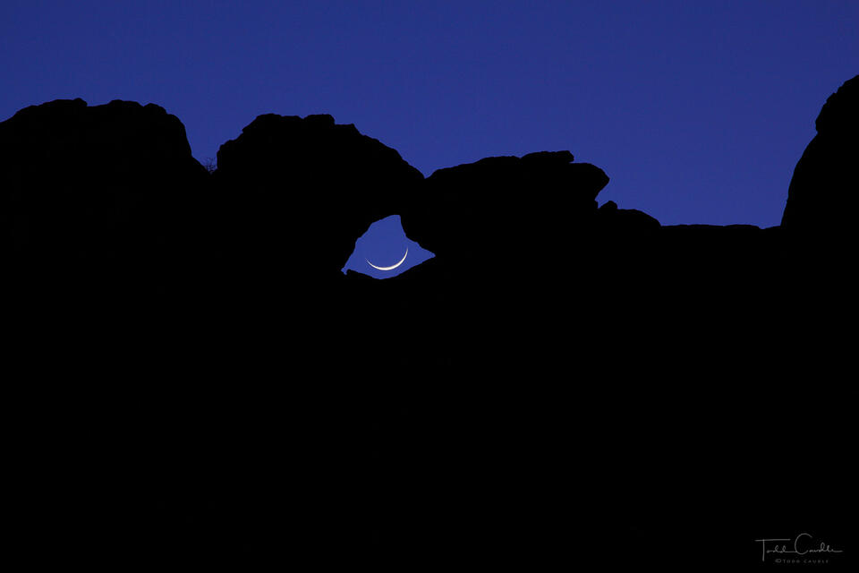 Crescent Moon & Kissing Camels print