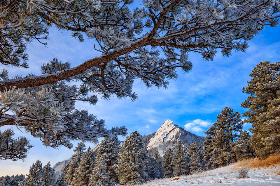 Fresh Snow at Chautauqua Park print