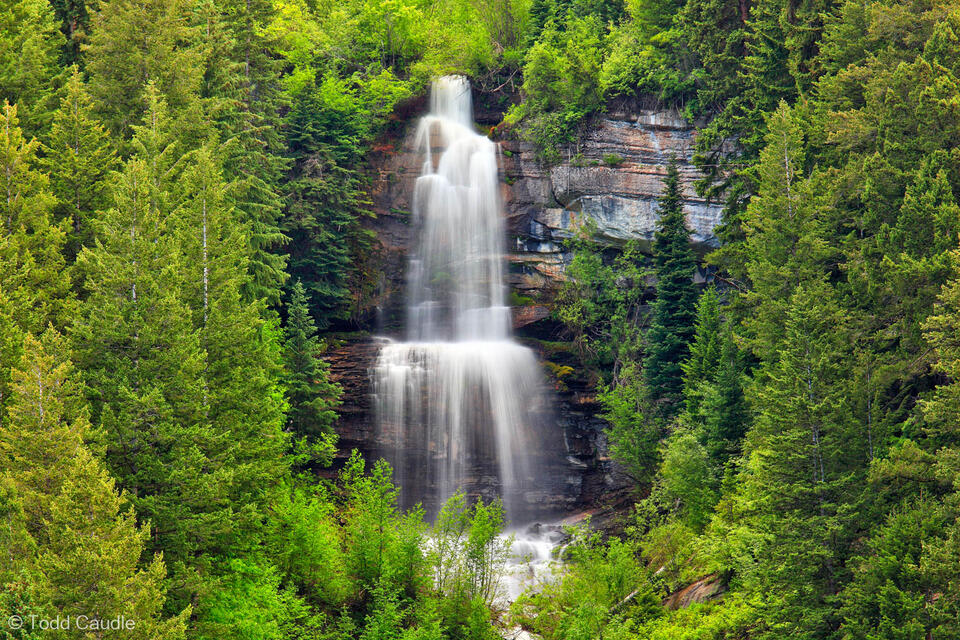 Shadow Falls print