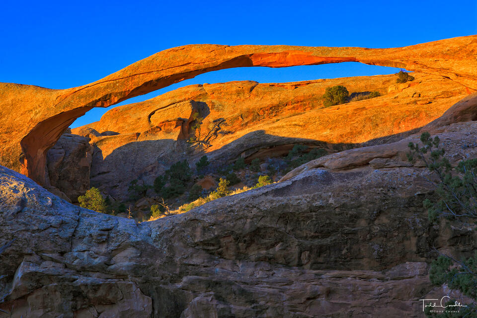 Sunrise Light on Landscape Arch, print