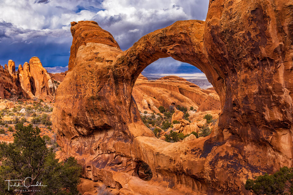 Double-O Arch print