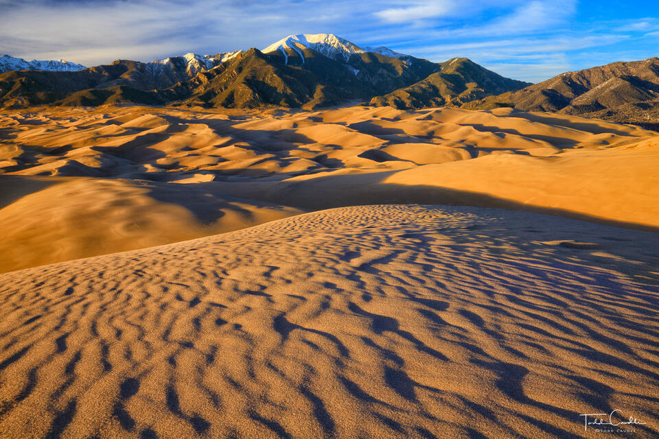 High Dune Evening print