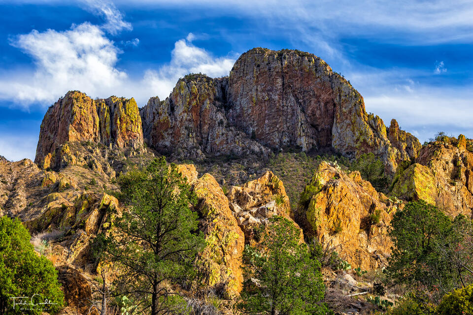 Evening Light in the Chisos Mountains print