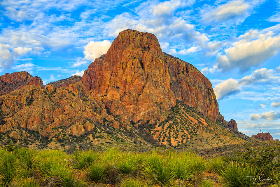 Chisos Mountains Morning print