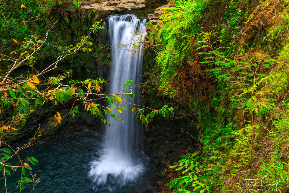 Waterfall Along the Road to Hana (horizontal) print