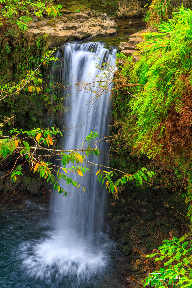 Waterfall Along the Road to Hana (vertical #1) print